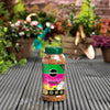 Miracle-Gro Azalea, Camellia & Rhododendron Continuous Release Plant Food 900g