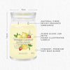 Yankee Candle Iced Berry Lemonade Signature Large Jar