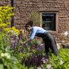 Heart of Eden Composted Bark Fines 60L