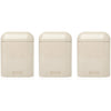 Haden Speckle Putty 3pc Canister Set