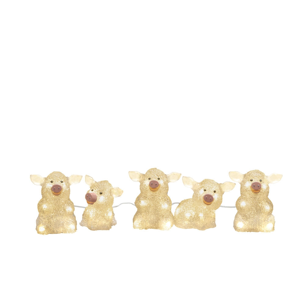 Acrylic-Pigs-5pcs-set-LED
