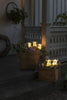 Acrylic Pigs 5pcs/set LED