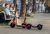 Segway Ninebot DE28E Kickscooter - Charcoal & Orange